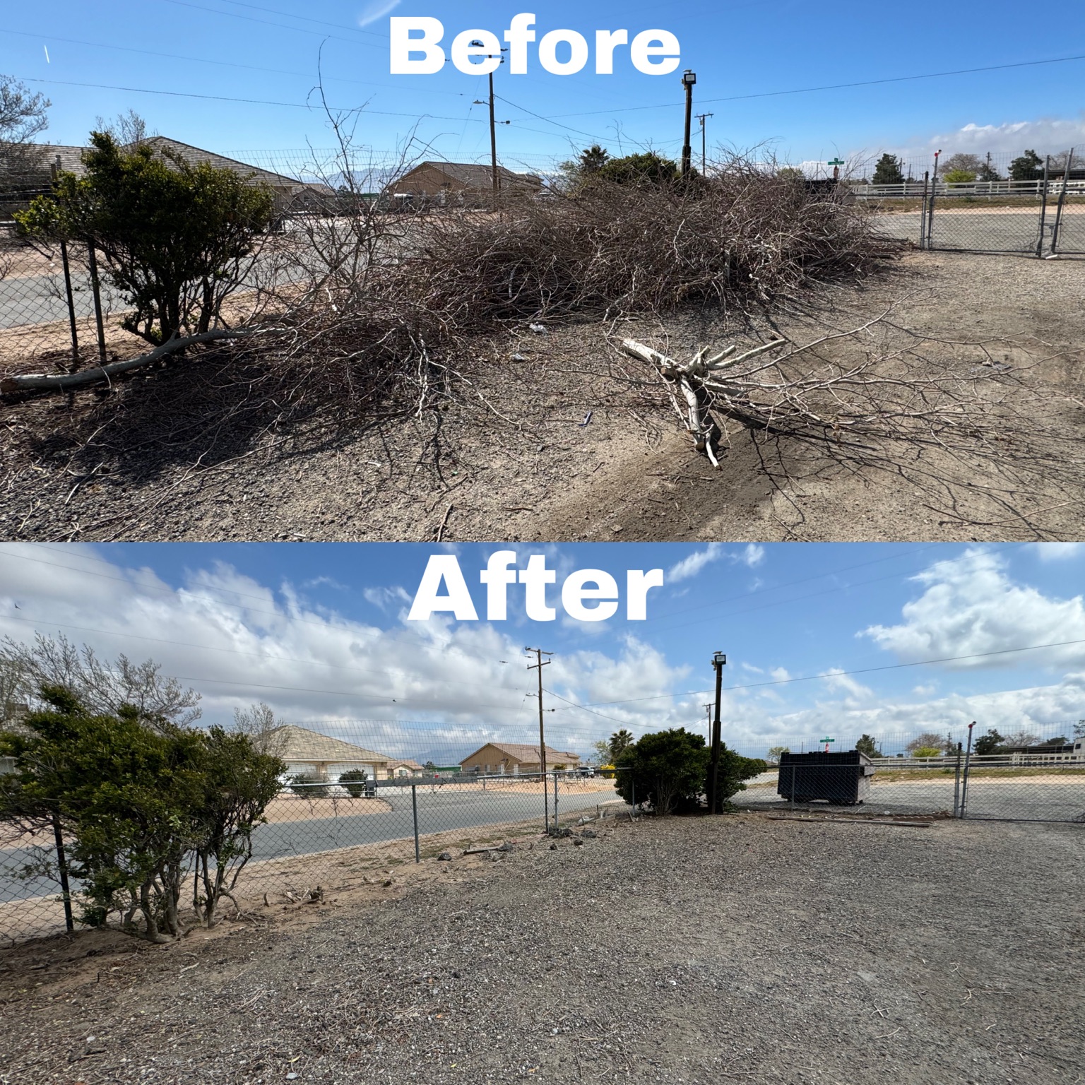 Before and after brush removal by Roll N Haul